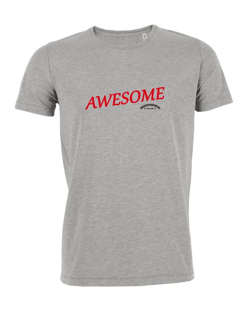 AWESOME T-SHIRT GRIS BLANC BLEU BOGOSSGENIUS - bogossgenius